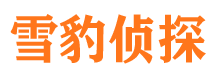 阳新捉小三公司